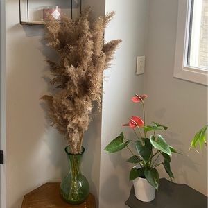 8 Piece Bouquets-Dried Natural Pampas Grass